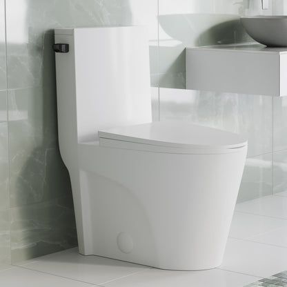 St. Tropez One Piece Elongated Toilet Side Flush 1.28 gpf with Black Hardware