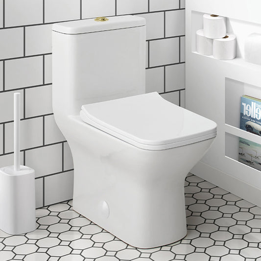 Elongated one-piece toilet with dual flush, white ceramic, brushed gold hardware.