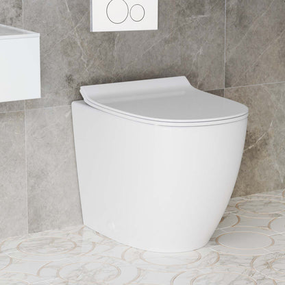St. Tropez Back-to-Wall Toilet Bundle 0.8/1.6 GPF Dual Flush in Glossy White with White Flush Plate