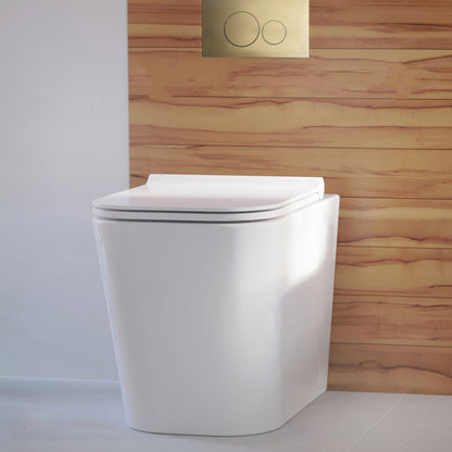 Concorde Back-to-Wall Toilet Bundle 0.8/1.6 GPF Dual Flush in Glossy White with Brass Flush Plate