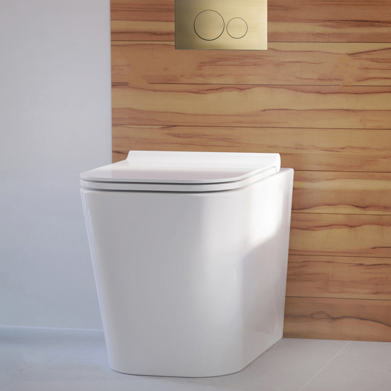 Concorde Back-to-Wall Toilet Bundle 0.8/1.6 GPF Dual Flush in Glossy White with Brass Flush Plate