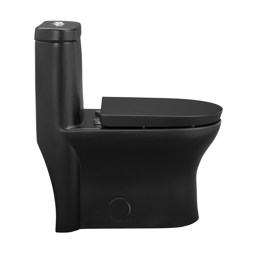 Monaco One-Piece Elongated Toilet Dual-Flush, Matte Black 1.1/1.6